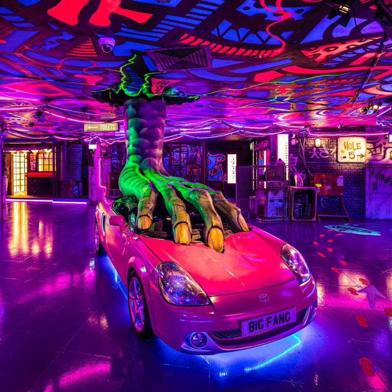 Crazy Golf Golf Fang